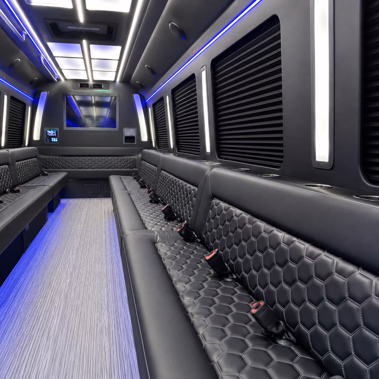 Raleigh Bachelor & Bachelorette Transportation party bus exterior